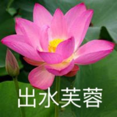 刀刀烈火2九游版下载